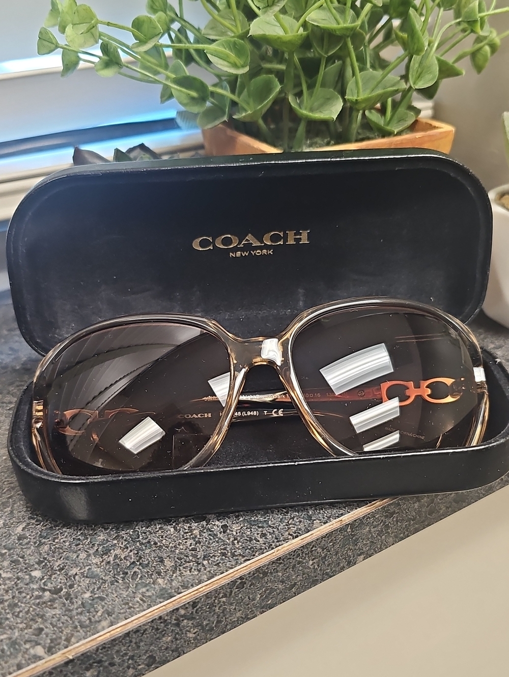 Coach Brown Gradient Oversized Women’s Sunglasses with Gold Accents HC 8145